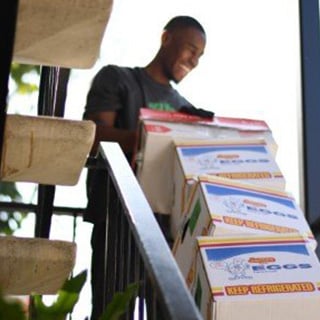 Do it all movers Profile Image